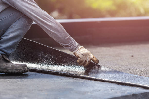 Professional Wet Basement Repair technician working in La Crosse, IN